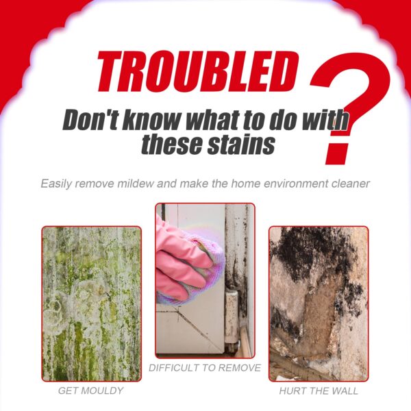 Bathroom & Kitchen Mildew Remover